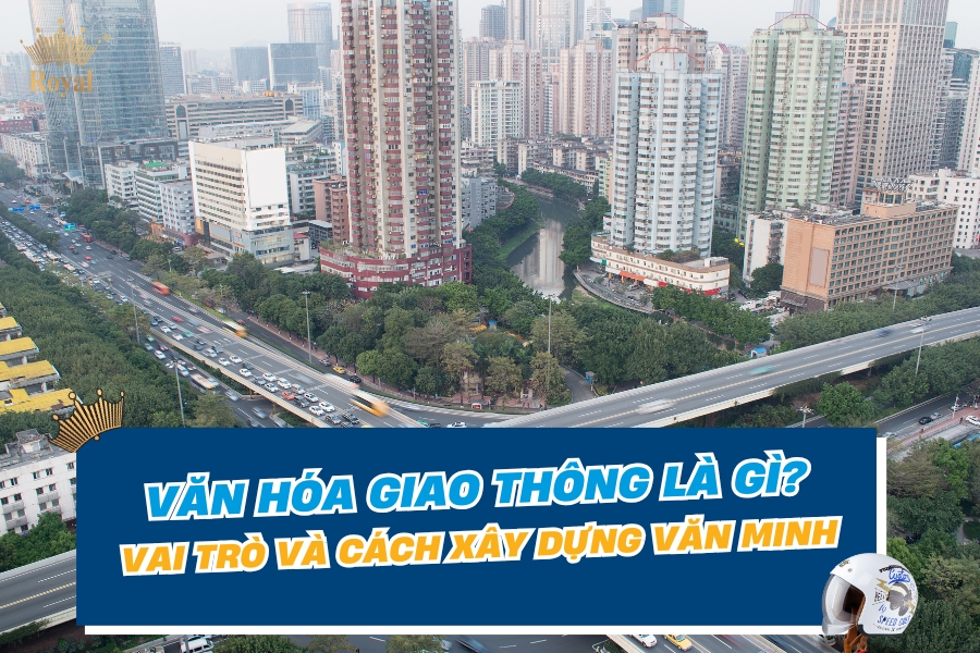 Văn hóa giao thông là gì? Vai trò và cách xây dựng văn minh